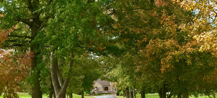 I’ve Switched Blogs